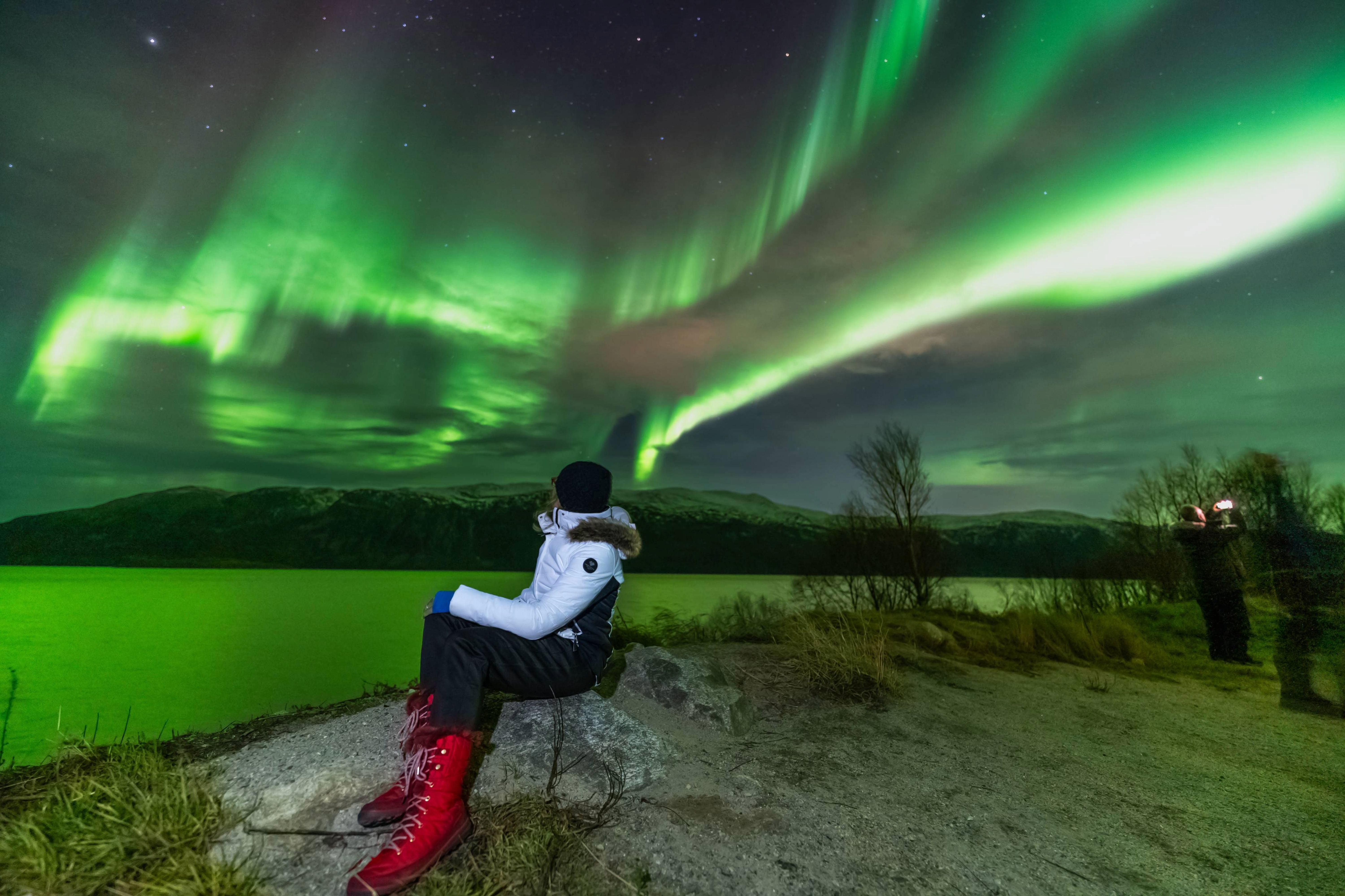 Traveler sitting on a portable camp chair by a calm Arctic fjord, watching green Northern Lights reflecting on the water.