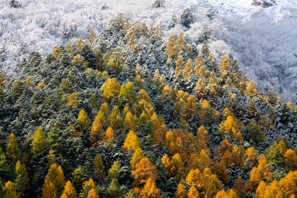 19 Days Mera Peak Climbing & Expedition – One Life-Changing Himalayan Adventure