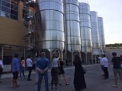 Guests at Pian di Mare winery