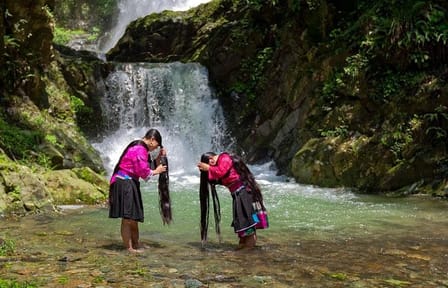Longji Rice Terraces and Minority Village Cultural Tour