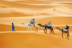 Full-Day Tunisia Sahara Desert Camel Trek in Douz