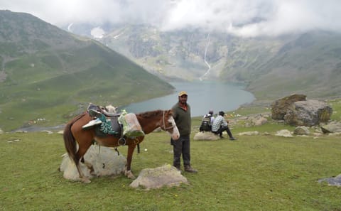 Kashmir 5-Day Trek from Srinagar to Naranag and Dumail