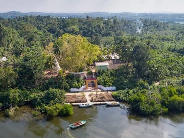 Madu River Safari and Turtle Hatchery Tour from Bentota