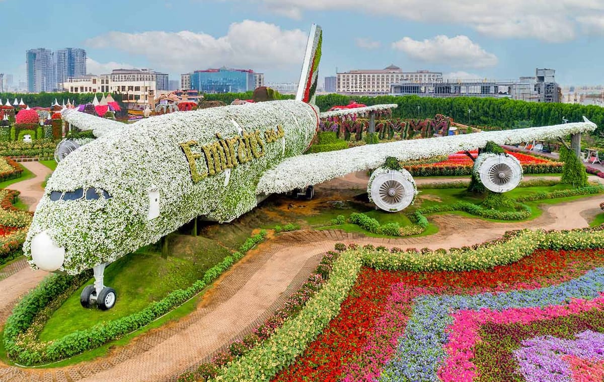 Dubai  Miracle Garden tour & Marina Dhow Cruise with Dinner with  Private  Roundtrip   Transfer