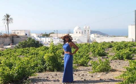 Private Cultural Tour of Akrotiri and Fira in Santorini