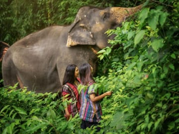 Khao Sok 3-Day 2-Night Adventure Escape with 7 Meals
