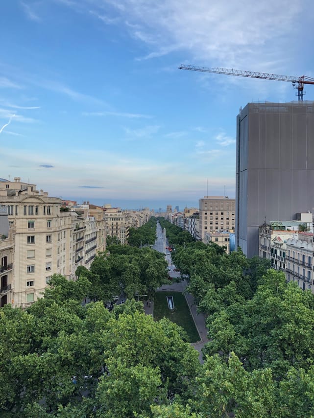 View from above: the boulevard of Passeig de Gracia stretches with its trees to the horizon. Along the sides you will find Gaudí´s buildings