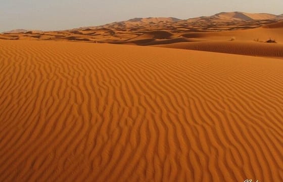 Trekking in Merzouga Desert & Lunch in Local Home with your Guide