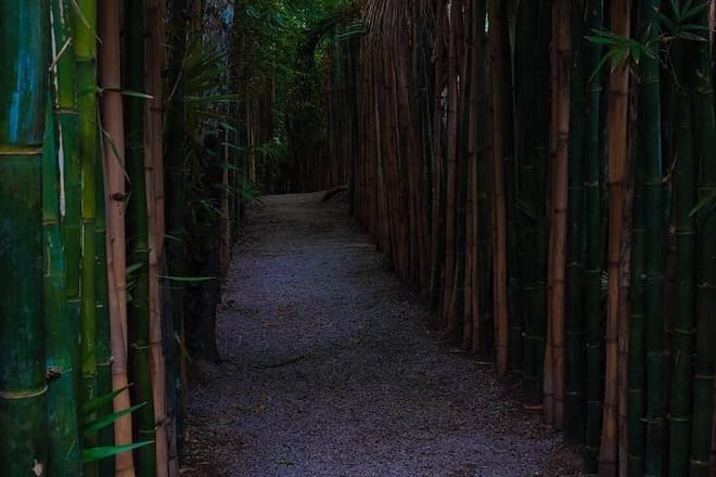 ATIK El Santuario Donde Arte y Naturaleza se unen en Tulum
