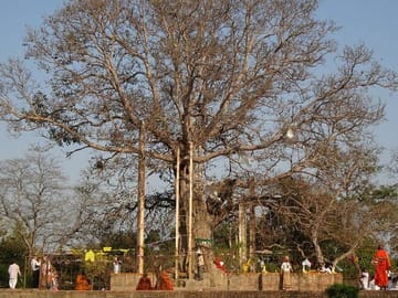 Cultural Day Trip from Lucknow to Jetavana Monastery