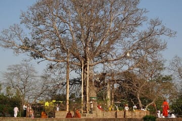 Cultural Day Trip from Lucknow to Jetavana Monastery