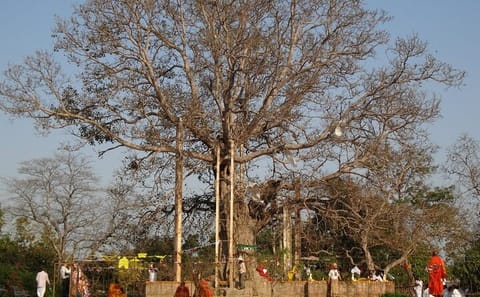 Cultural Day Trip from Lucknow to Jetavana Monastery