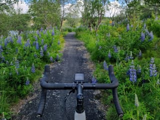 Gravel After Hours - Advanced Private Bike Tour, photo 10