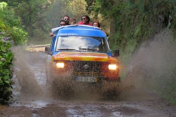 Full-Day 4X4 Tour of Madeira's Peaks from Funchal