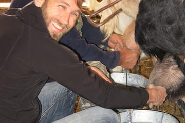 Halloumi Cheese Making Workshop and Troodos Villages Tour from Limassol