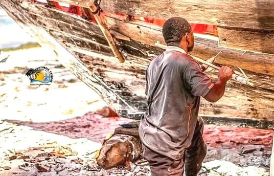 Nungwi Village Tour, Kilosa Zoo and Swim with Turtles Baraka