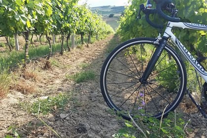 Wine road of Macedonia, Greece