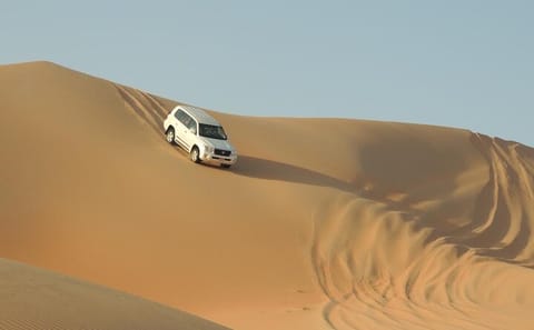 Day Tour from Cairo to Al Fayoum: Nature and Culture Exploration