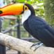 Bird Park