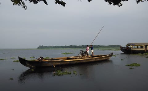 Explore Munnar, Thekkady, and Alleppey on a 6-Day Tour