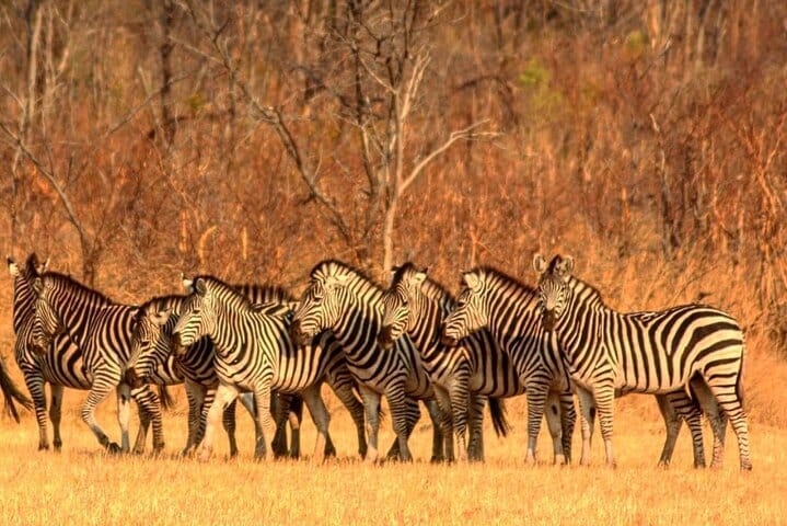15 minutes scenic helicopter flight above Victoria Falls-Zimbabwe