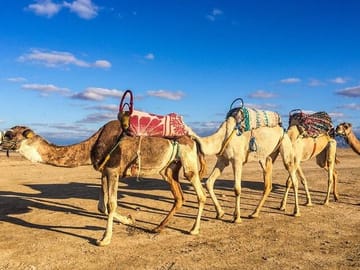 Magical Dinner and Sunset in Agafay Desert