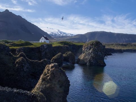 Snæfellsnes en español con almuerzo incluido en una granja en minibus, photo 2