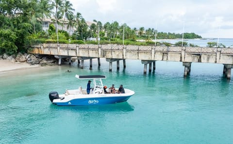 Luxury Shared Boat Tour Barbados Snorkeling and Turtles