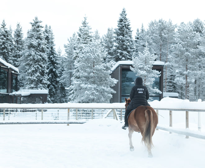 Horseback Ride Through the Arctic Forest