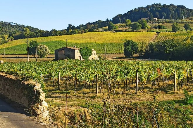 Florence–Siena Luxury Transfer via Chianti Wine Country - Photo 1