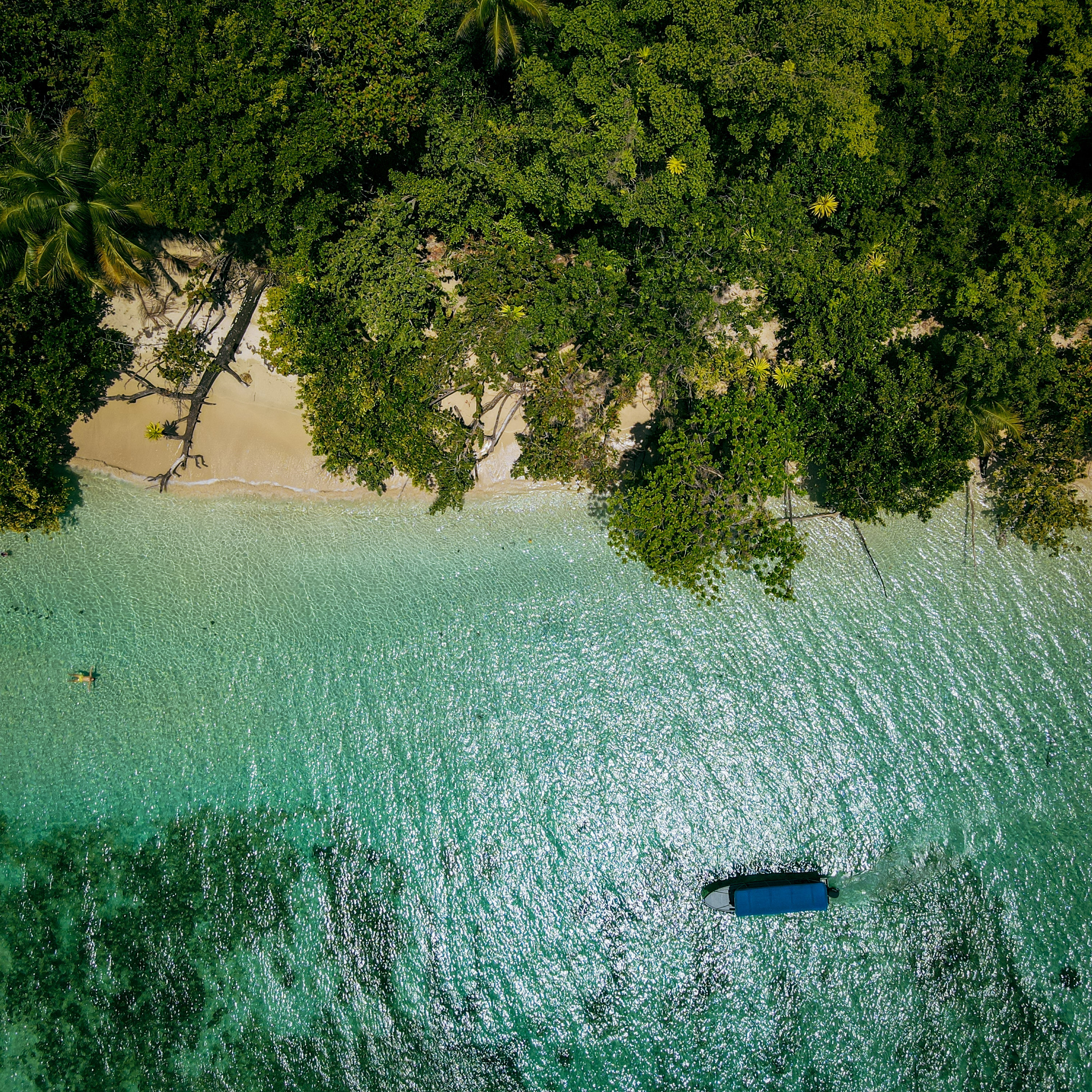 Aerial view of a tropical beach in Bocas del Toro, Panama, with turquoise water, lush rainforest, and a boat anchored near the shore during 