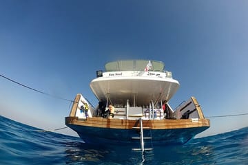 Snorkeling Tour to Orange Bay Gifton Island from Hurghada