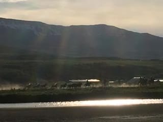 Horse Riding Tour and Explore Scenery in Gásir Akureyri, photo 11