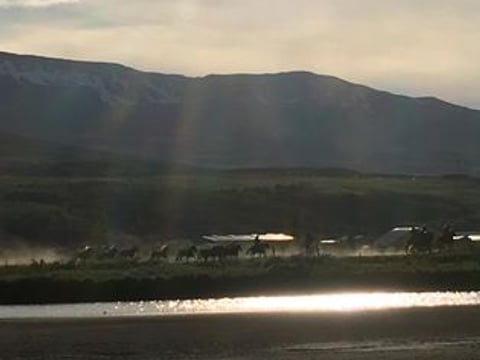 Horse Riding Tour and Explore Scenery in Gásir Akureyri, photo 11