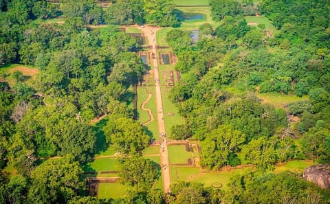 Sigiriya Rock Fortress and Jeep Safari Day Tour from Colombo
