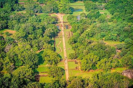 Sigiriya Rock & Jeep Safari: Thrilling Wildlife Adventure from Colombo