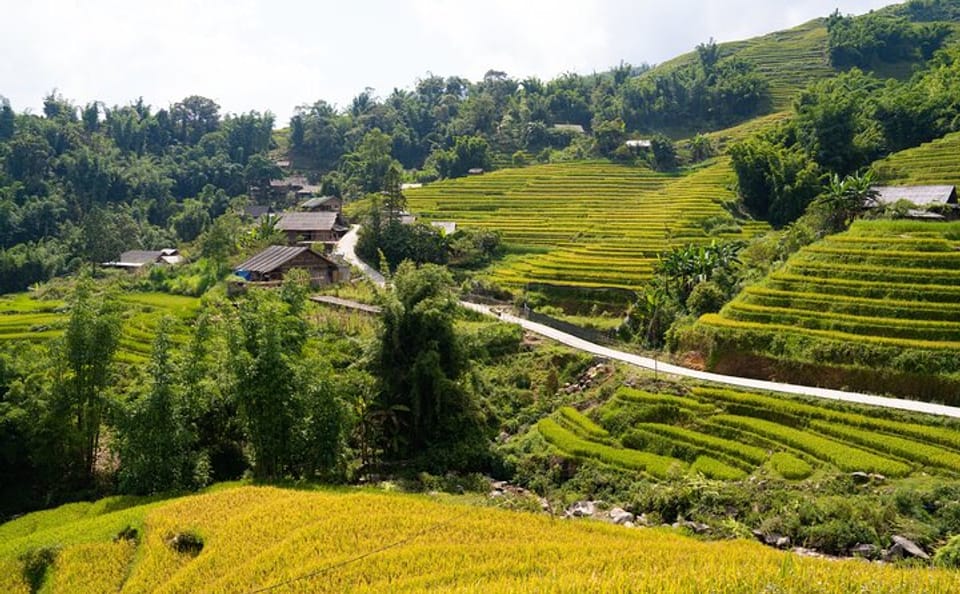 3-Day Sapa Trekking Tour with Local Guide in Tavan Village