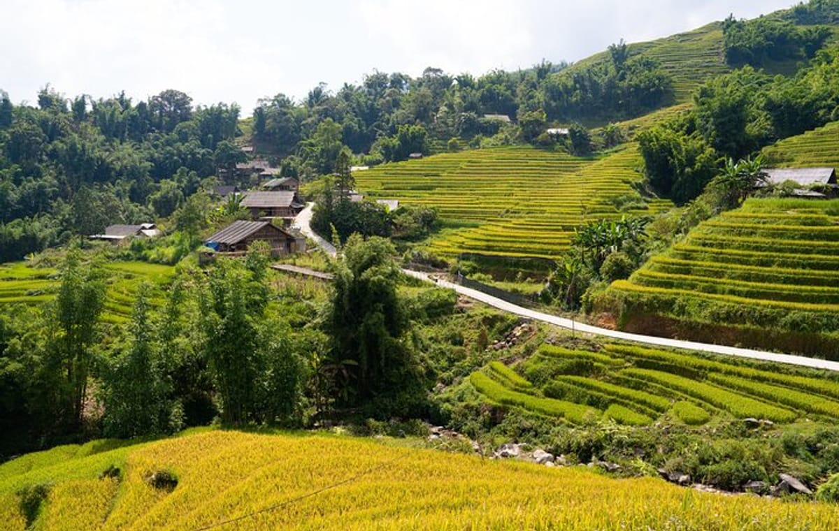 3-Days Sapa Trekking With Local Guide Overnight in Tavan Village