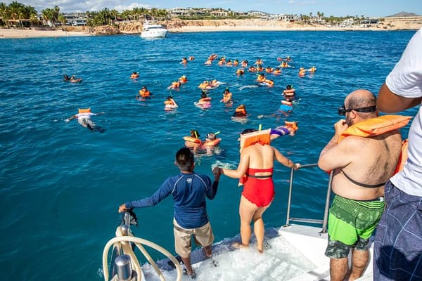 Things to do in Cabo San Lucas