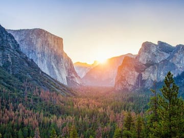 Private Full Day Tour of Yosemite National Park from San Francisco
