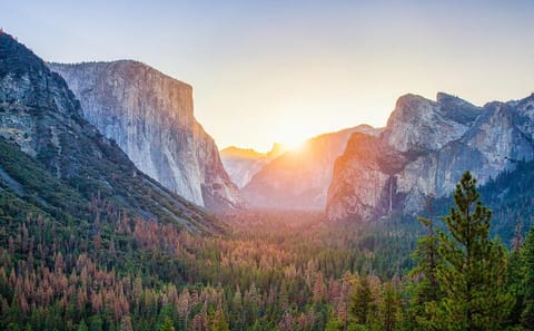 Private Full Day Tour of Yosemite National Park from San Francisco