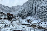 Nagano Private Full-Day Tour 2
