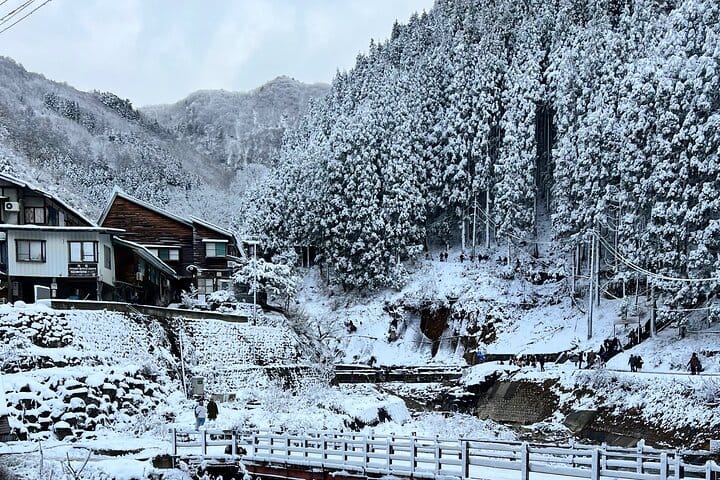 Nagano Private Full-Day Tour 2