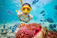 Bali: Blue Lagoon and Tanjung Jepung Snorkeling Tour 4