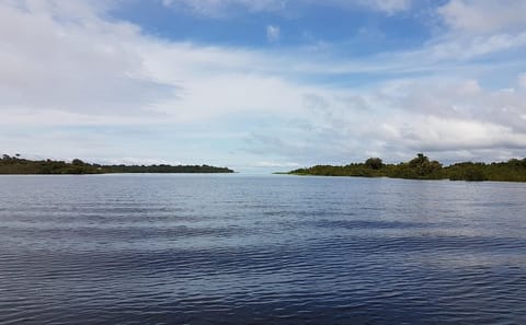 1 Night Jungle Experience and Boat Tour from Manaus