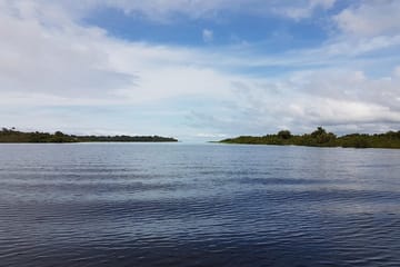 1 Night Jungle Experience and Boat Tour from Manaus