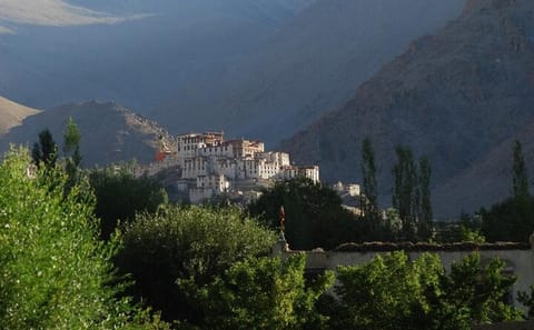 Likir and Alchi Monastery Cultural Tour from Leh
