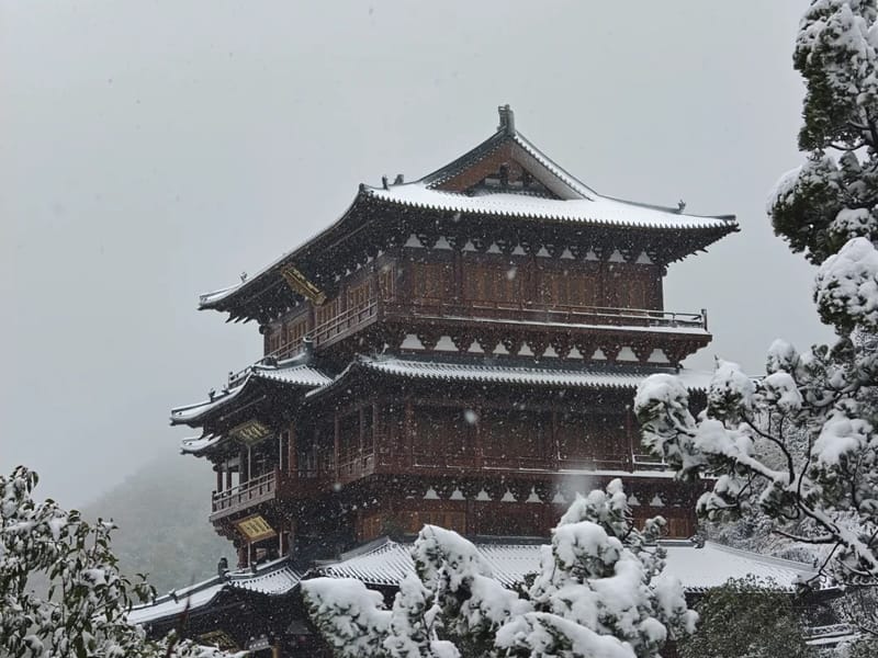 Hangzhou: Jingshan Zen Temple & Tea Hills Day Trip