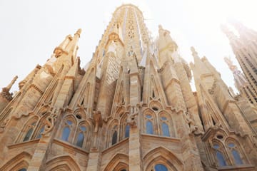 Barcelona City Tour and Ibiza Island Getaway - 6 Days