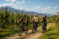 E-Bike Tour and Wine Tasting from Bardolino 6